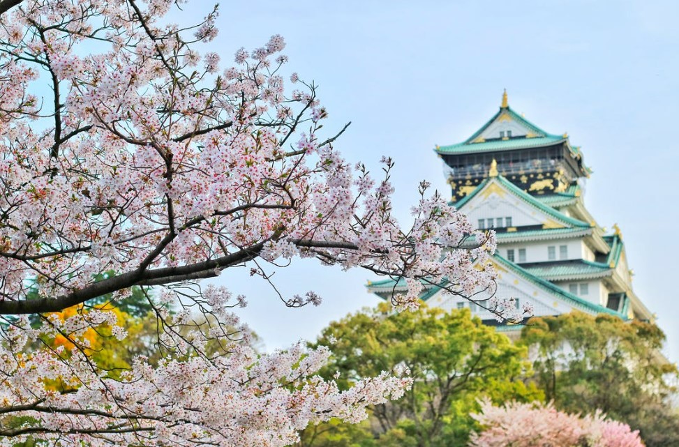 Sakura Dönemi Japonya & Kore Turu Mistik Rotalar